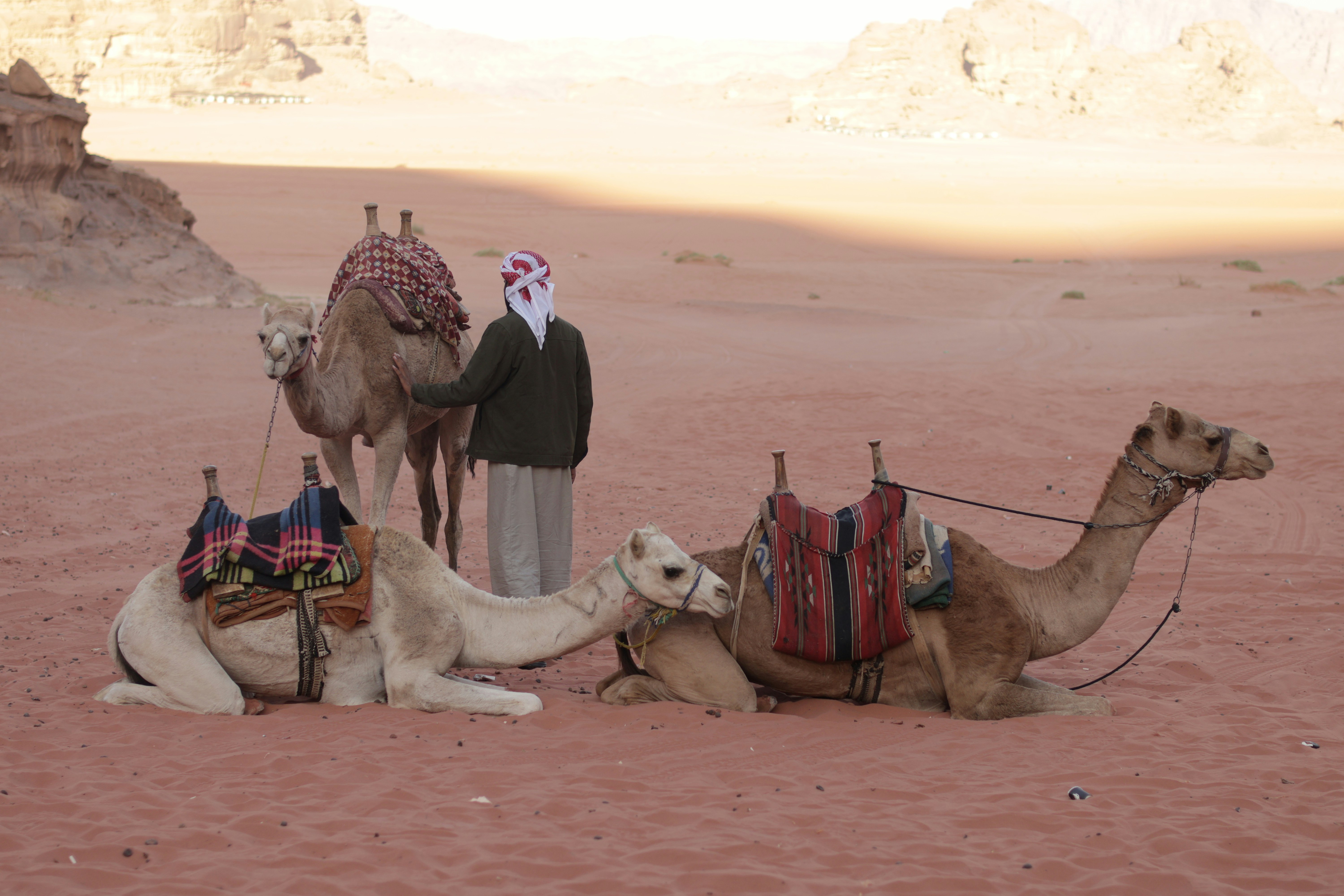 Bedouin Tradition